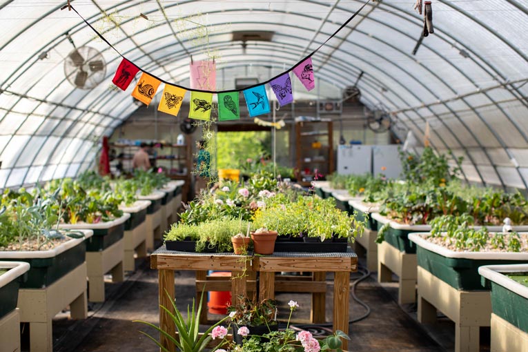 The gardens at Coldwater Gardens in Navarre Beach produce certified naturally grown fruits, vegetables, flowers and mushrooms year-round.