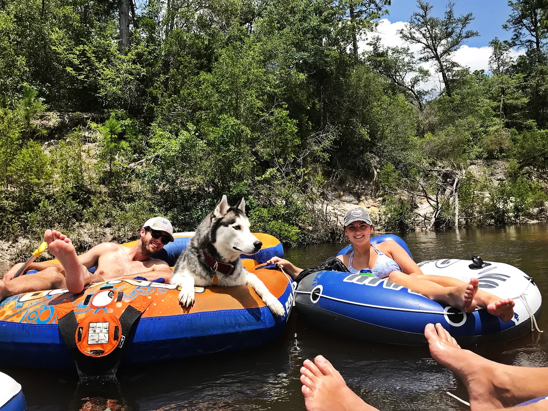 Husky and friends tubing on river