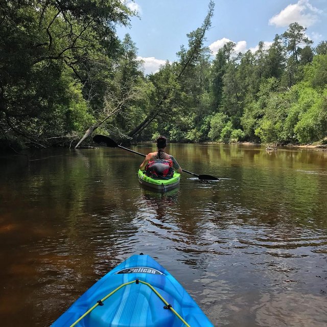 Blackwater river kayaking
