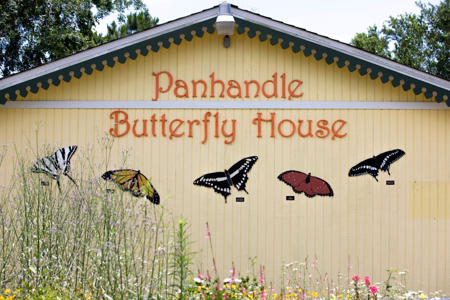 Monarch Madness Butterfly Festival Navarre Beach