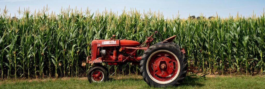red tractor with corn maze in the background